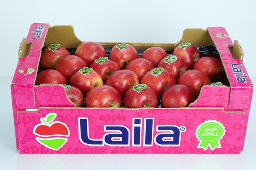 “Asia is actually the largest market for us when it comes to apples”                        FreshPlaza 11.10.2022